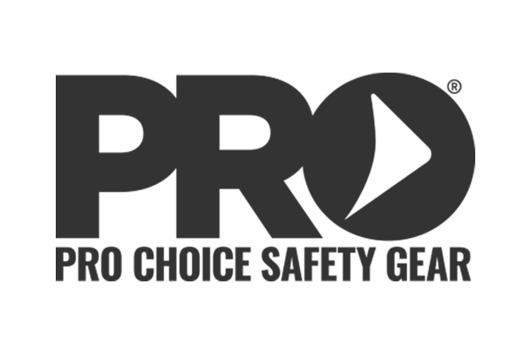 Pro Choice Logo