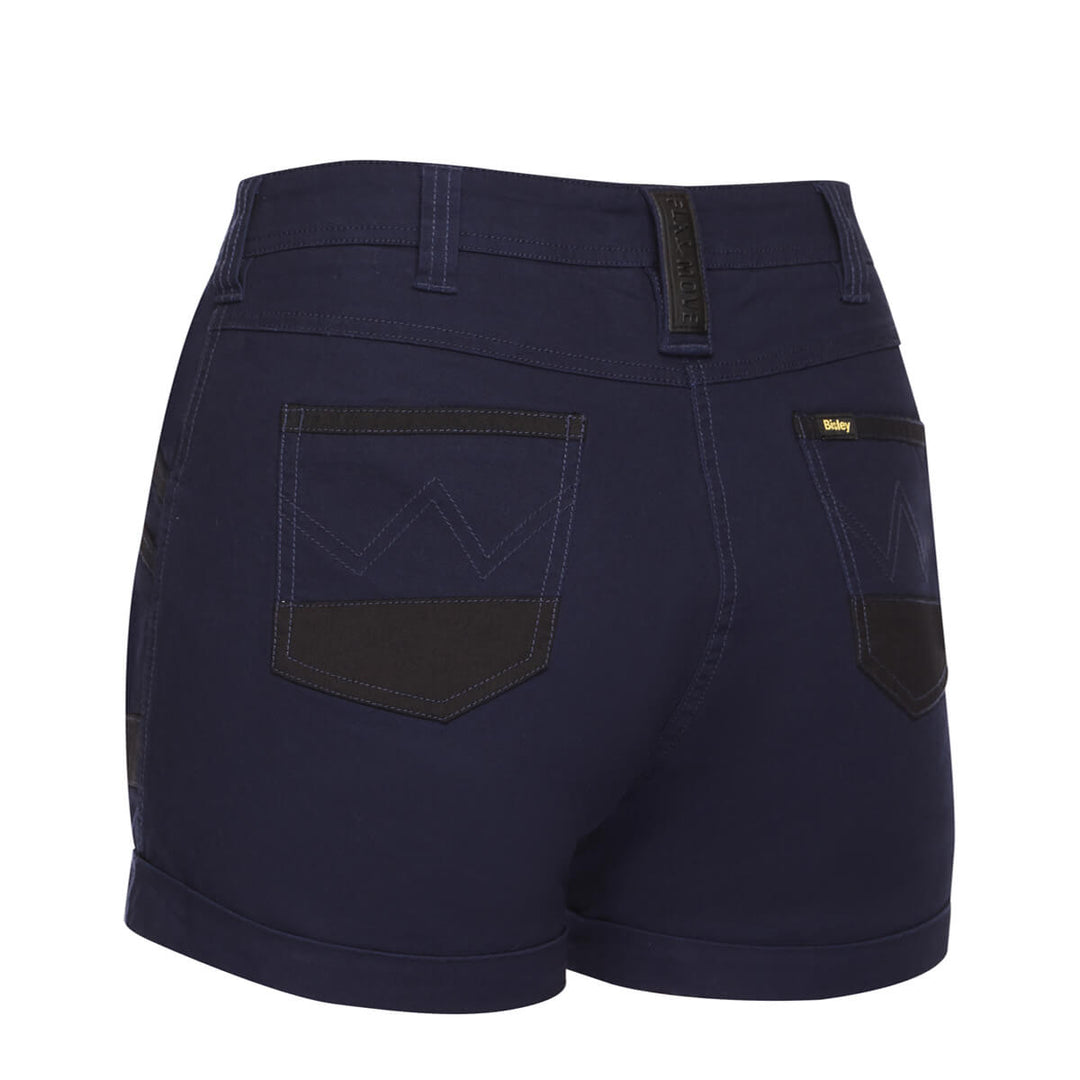 Bisley BSHL1045 Navy – Back View